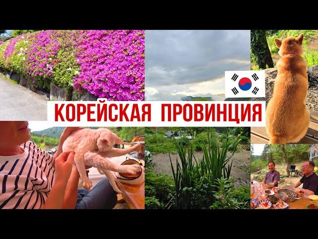 Роскошная весенняя деревня в Корее ^^ KOREA VLOG