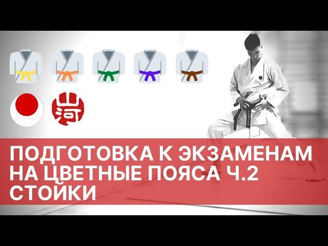 Подготовка к экзаменам по каратэ: часть 2, стойки