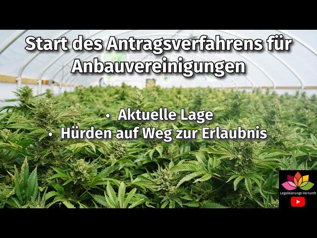 Start des Antragsverfahrens für Cannabis Anbauvereinigungen / Nicht überall / Hürden zur Erlaubnis