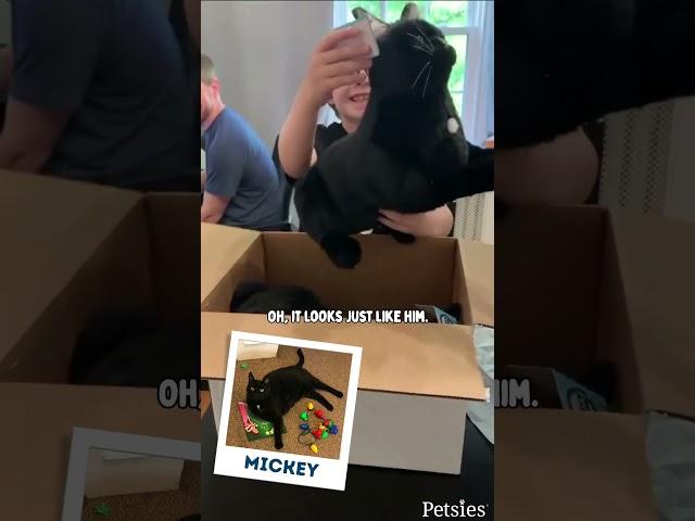 Custom Cat Stuffed Animal Unboxings | MyPetsies©