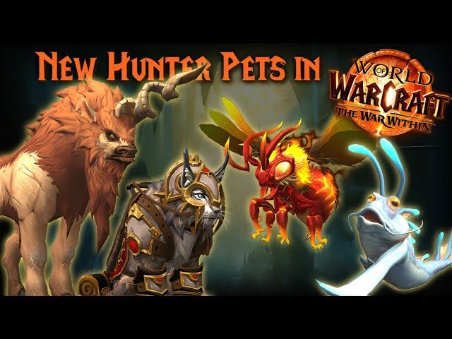 The War Within's NEW HUNTER PETS are AMAZING!