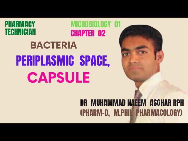 Periplasmic space|Capsule|Bacteria|Microbiology|Pharmacy Technician|Dr MuhammadNaeemAsgharPharmacist