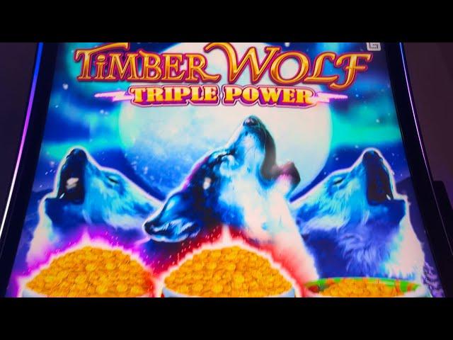 NEW TIMBERWOLF TRIPLE POWER SLOT #slotman #wow #win #casino #slots #timberwolf #chumashcasino