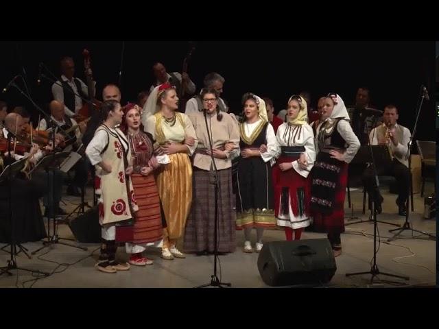 JUG SRBIJE  - Aleksandar Smrekic - Potpourri melodies of southern Serbia