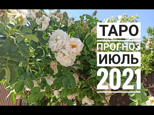 ТАРО ГОРОСКОП СТРЕЛЕЦ июль 2021