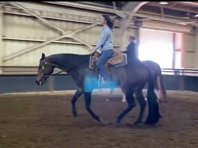 SOLD 2013 AQHA/ABRA/NSBA/Pinto gelding - Tails