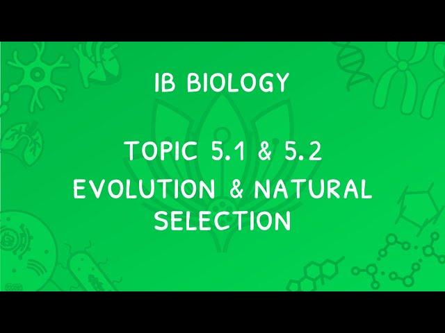 IB Biology Topic 5.1 & 5.2: Natural Selection & Evolution