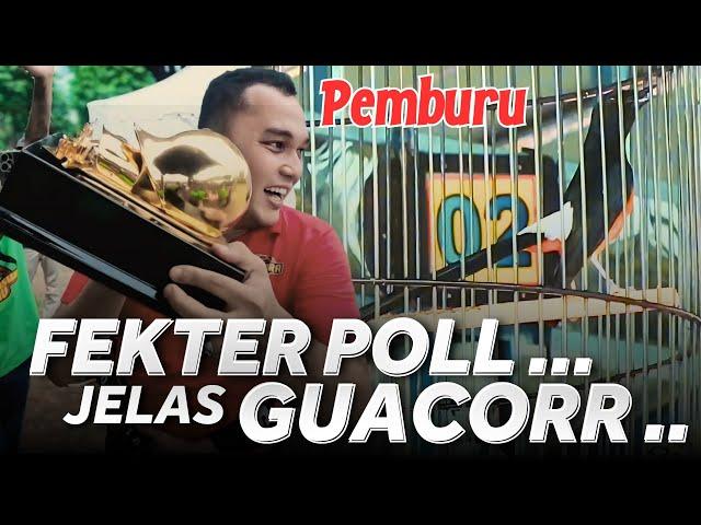 GUAACOR DOR dari Cilengsi ‼️ PREDIKSI JUARA 1 ‼️ Murai PEMBURU di UMI Kasum CUP 4