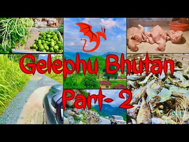 Gelephu 4k | Meat market of Bhutan| Bhutan vegetable market | Bhutan tour | Gelephu tour