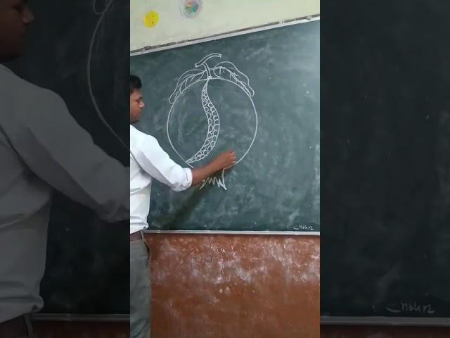 drawing of pomegranate #drawing #hridesh #youtube #bio #pomegranatefruit
