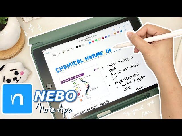 NEBO Note App for Windows, Mac, iPad, Android & Chrome (Walkthrough & Review) ︎ | Emmy Lou