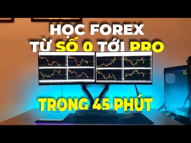 Học Forex Từ Số 0 Tới PRO Trong Vòng 45 Phút (Toàn Tập)