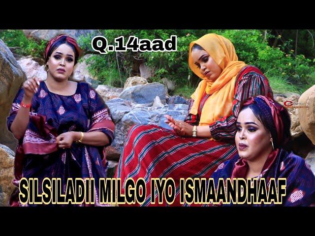 DHAANTO Q-14aad | IDIL AYRUUSH | SILSILADII ""MILGO IYO ISMAANDHAAF"" JAWAAB LALA YAABAY 2021