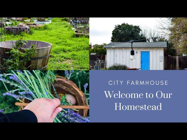 Welcome to Our Homestead | City Farmhouse | Slow Living