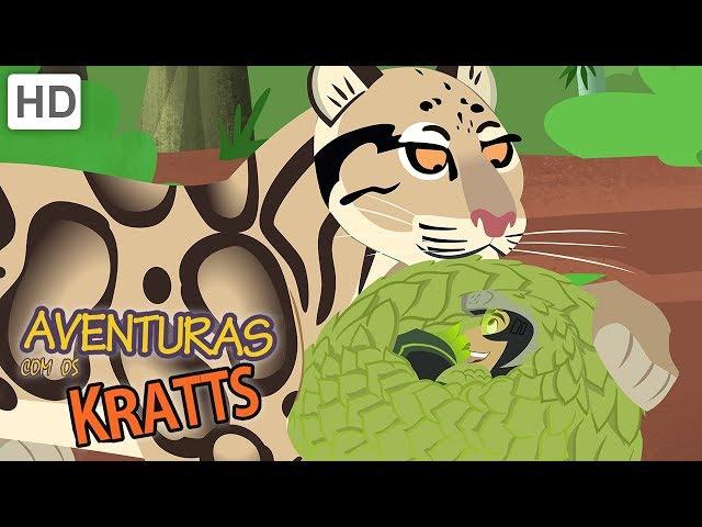 Aventuras com os Kratts | Criaturas Selvagens Que você Deve estar Ciente