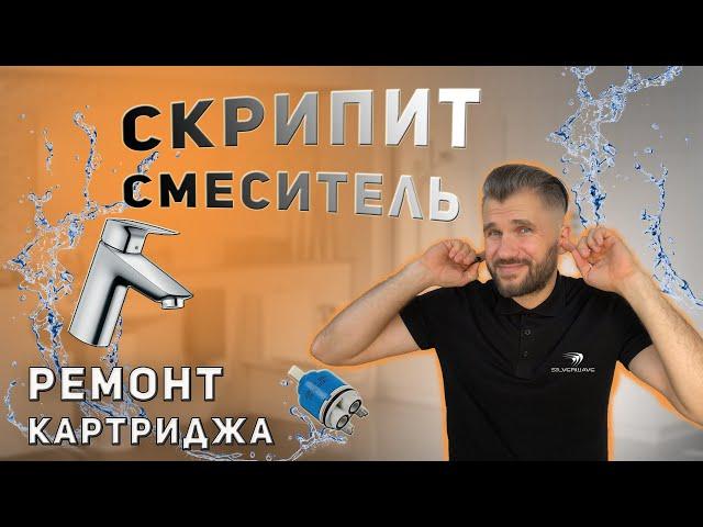 Туго Открывается Кран Смесителя | Скрипит Рычаг Смесителя |  СЦ Silverwave