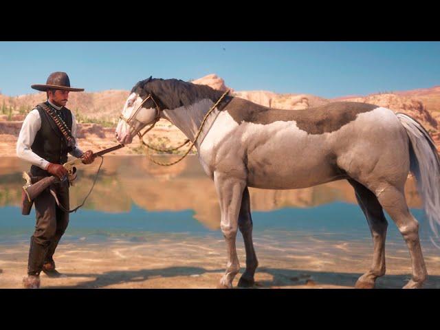 SE ROBO AL CABALLO EQUIVOCADO | RED DEAD REDEMPTION 2