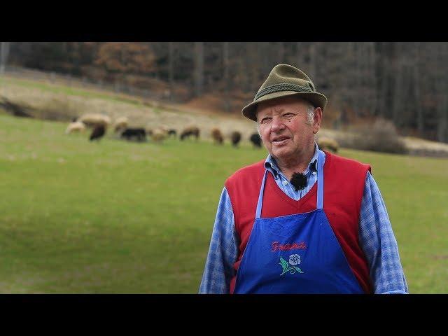 Der Wolf in Südtirol – Franz Anton Reiterer, Proherhof, Verschneid/Mölten