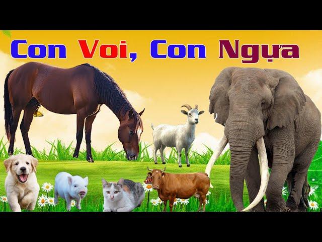 CON GÌ ĐÂY ??  Con Bò, Con Chó, Con Voi, Con Ngựa, Con Khỉ, Con Vịt....Học Tên Các Con Vật Cho Bé