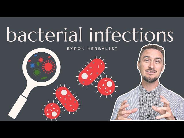 TOP Herb for Bacterial Infections & Overgrowths