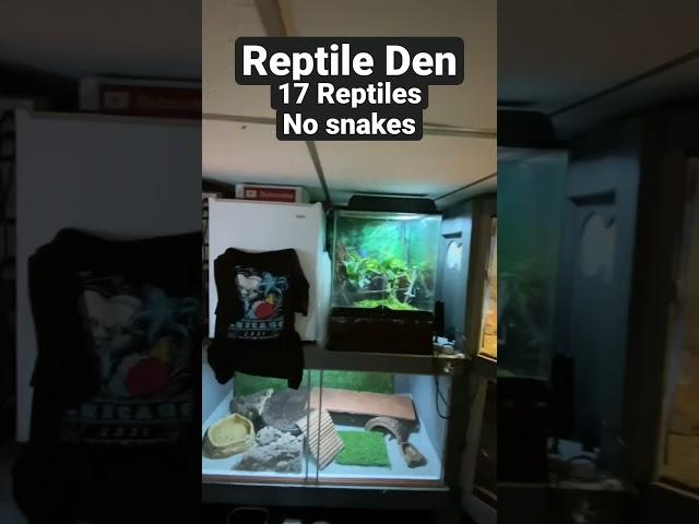 Reptile Den with 17 reptiles  #handmade #enclosures #reptiles #queaquatics #animals #pondlife #fish