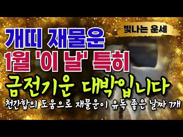 2025년 1월운세개띠금전운 '이 날짜'에 재물운이 강하게 들어옵니다️재물복있는사주 재물복이 터지려면 1월운세 '이 날'을 챙기십시오 을사년개띠운세 2025년운세 개띠운세