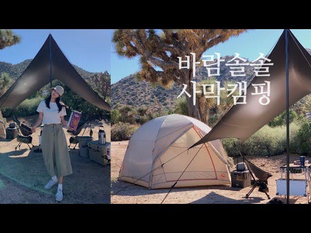 미국캠핑 vlog. 사막캠핑 할만하네, 별이 쏟아지는 조슈아트리, ️캠핑메뉴 추천