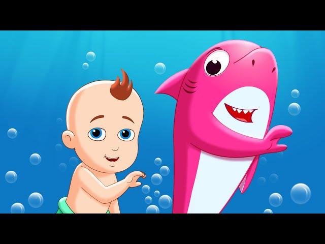 Baby Shark + More Nursery Rhymes & Baby Songs