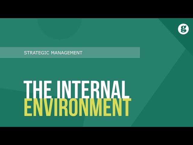 The Internal Environment