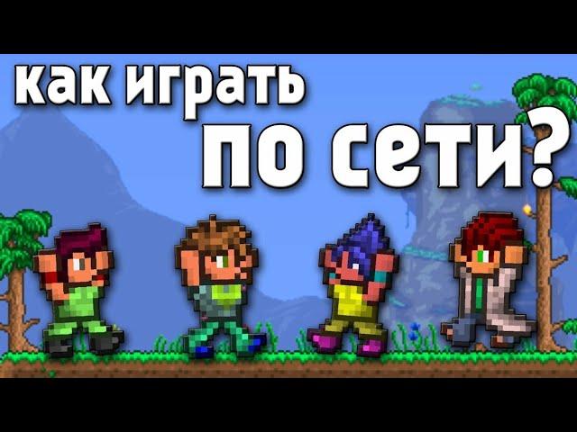 Как поиграть с другом по сети на большой дистанции в Terraria 1.4. Инструкция с 4 пунктами.