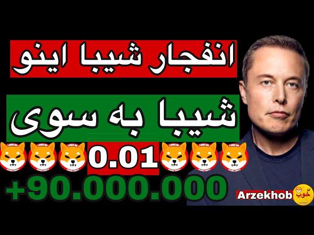 اخبار جدید شیبا اینو!! پامپ در راهه؟