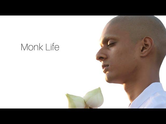 MONK LIFE: The Alternative Path (HOW TO BECOME A MONK IN THAILAND IN 2020)