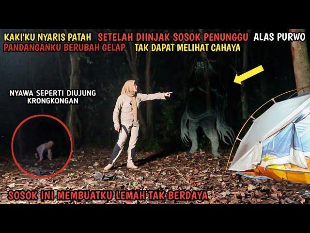 SOLO CAMPING HORROR : NYARIS KEHILANGAN NY4WA GARA" SOSOK PENUGGU ALAS PURWO