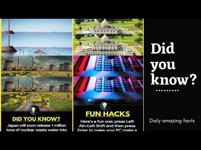 Did You Know facts?|The amazing facts|factdesk