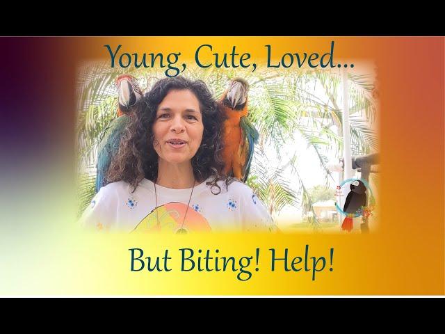 How To Handle A Young Biting Parrot #biting_parrot #Parrot_Bliss