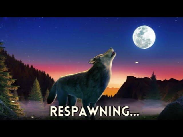 tha Fox game FF #foxgames #dog #video #youtube #games #doglover