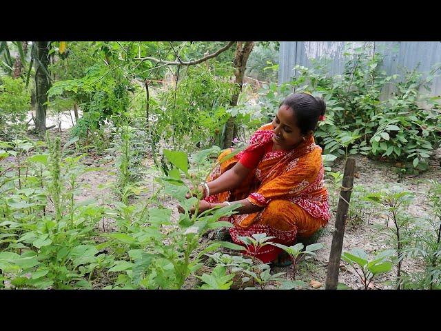 চমৎকার স্বাদের লোটে মাছের ঝাল, পটলের রসা ও বাগান থেকে টাটকা শাক তুলে ভাঁজা করলাম