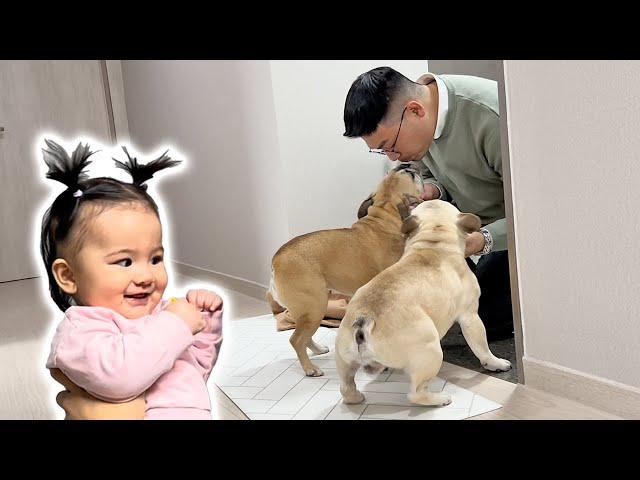 He Left  Dogs And Baby React To Dad Coming Home ** CUTEST REACTIONS