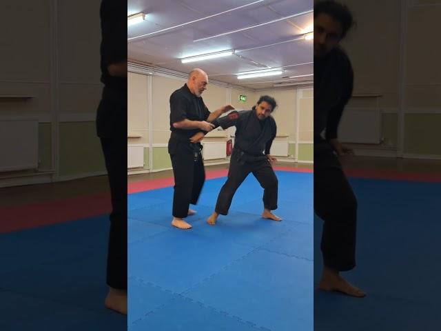 Heian Yondan Bunkai - Appling the hip stack #karate #budokarate #karatejutsu #martialarts