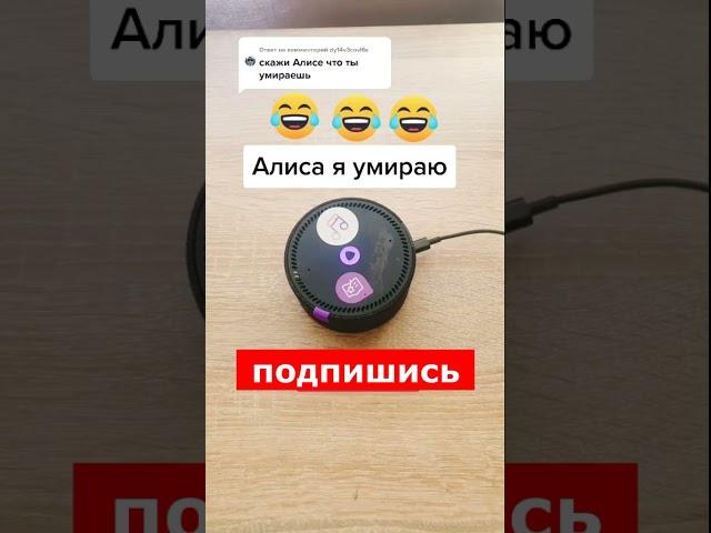 я умираю  лучшие приколы 2021 [яндекс Алиса жгёт]