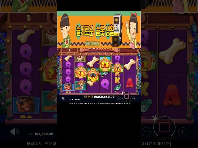 [슬롯]개집하우스 메가웨이즈 250만당첨  Pragmatic dog house megaways slot #슬슬생  #슬롯 #슬롯라이브 #슬롯머신 #슬롯생방송 #슬롯실시간