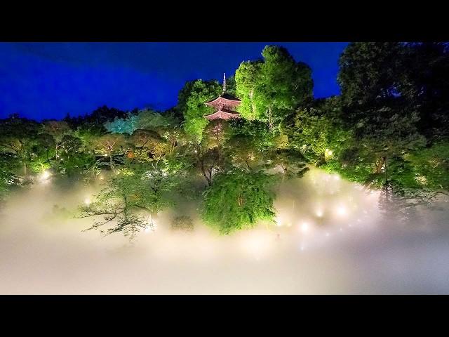 Übernachten in einem japanischen Hotel in Tokio, umgeben vom Wolkenmeer | Hotel Chinzanso Tokio