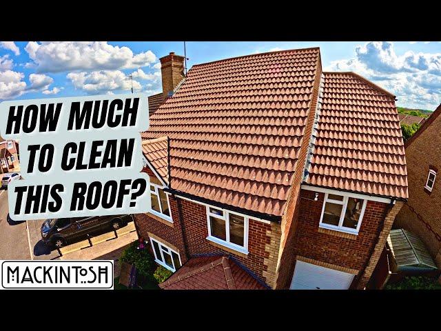 How Much Did It Cost To Clean This Roof?