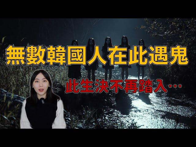 韓國網友：這輩子我絕對不會去第二次！令許多韓國人膽戰心驚的邪門鬼山－智異山靈異事件｜卓Cho