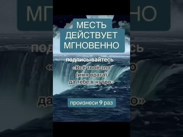 19 июня 2025 г.