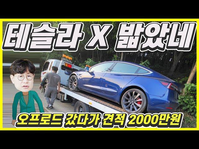 테슬라 모델3, 돌 밟았다고 수리비가 2000만원! 전기차는 시기상조? 조금 더 알아보자!