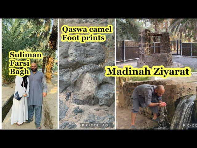 Madinah Ziyarat| Suliman Farsi Bagh| Ajwa Bagh| Masjide Noor| Qaswa foot prints