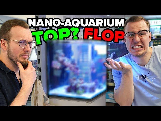 MEISTERWERK oder FEHLGRIFF? - Das NANO-Aquarium heute!