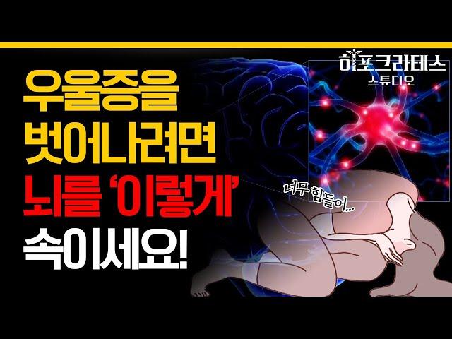 (40분) 대한민국 우울 경보 우울증으로 힘들어하는 사람이 있나요? 우울증에 대처하는 방법의 모든 것!