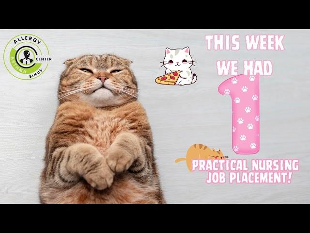 Good News Monday: National Cat Day Celebration! 